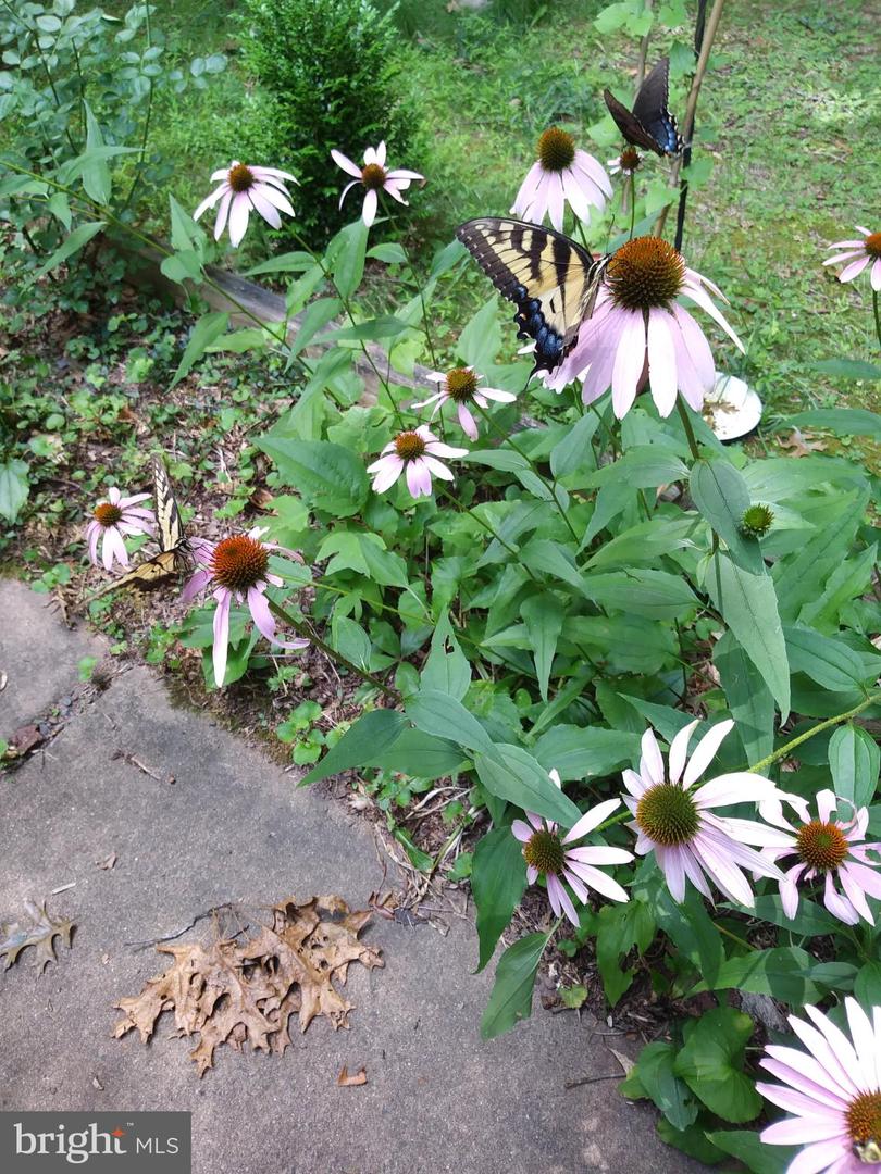 13437 BRISTOW RD, NOKESVILLE, Virginia 20181, 4 Bedrooms Bedrooms, 7 Rooms Rooms,3 BathroomsBathrooms,Residential,For sale,13437 BRISTOW RD,VAPW2106370 MLS # VAPW2106370