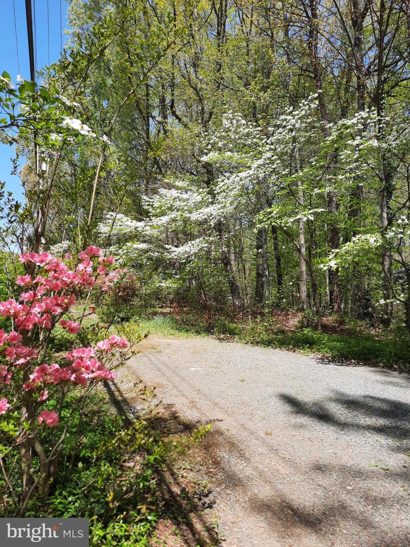 13437 BRISTOW RD, NOKESVILLE, Virginia 20181, 4 Bedrooms Bedrooms, 7 Rooms Rooms,3 BathroomsBathrooms,Residential,For sale,13437 BRISTOW RD,VAPW2106370 MLS # VAPW2106370