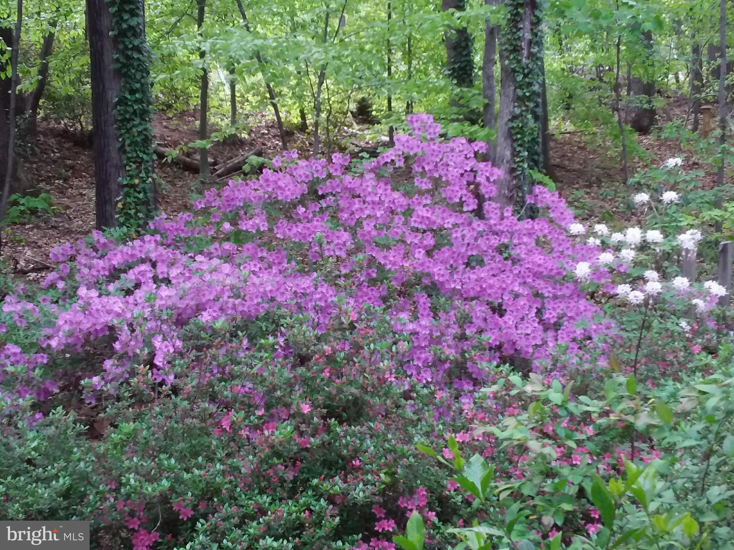 13437 BRISTOW RD, NOKESVILLE, Virginia 20181, 4 Bedrooms Bedrooms, 7 Rooms Rooms,3 BathroomsBathrooms,Residential,For sale,13437 BRISTOW RD,VAPW2106370 MLS # VAPW2106370