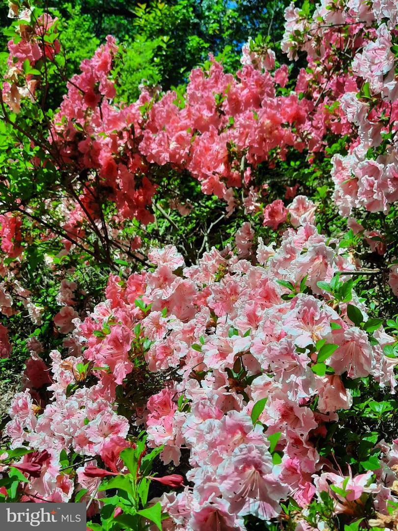 13437 BRISTOW RD, NOKESVILLE, Virginia 20181, 4 Bedrooms Bedrooms, 7 Rooms Rooms,3 BathroomsBathrooms,Residential,For sale,13437 BRISTOW RD,VAPW2106370 MLS # VAPW2106370