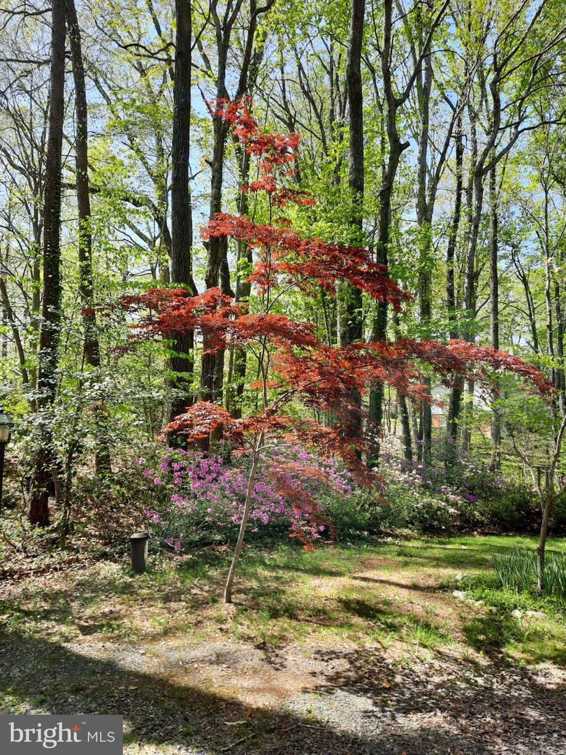 13437 BRISTOW RD, NOKESVILLE, Virginia 20181, 4 Bedrooms Bedrooms, 7 Rooms Rooms,3 BathroomsBathrooms,Residential,For sale,13437 BRISTOW RD,VAPW2106370 MLS # VAPW2106370