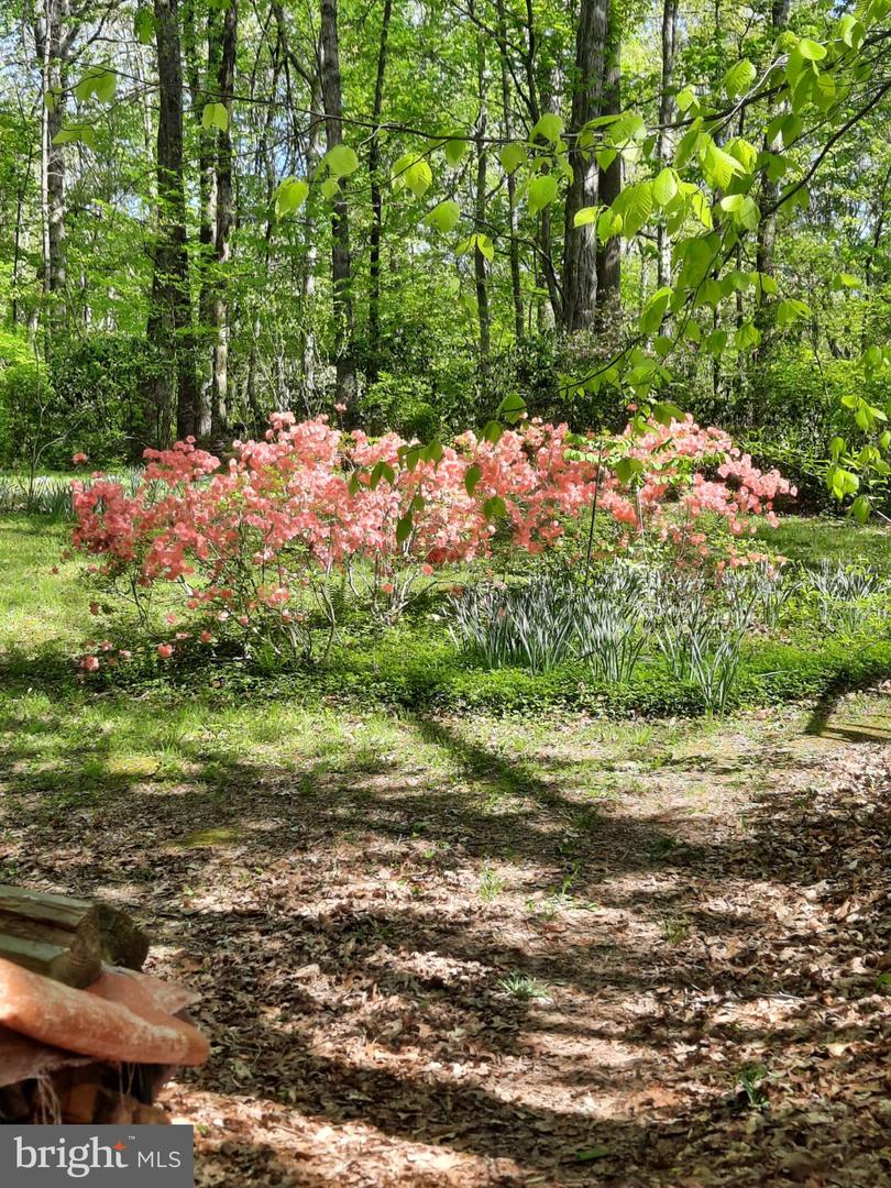 13437 BRISTOW RD, NOKESVILLE, Virginia 20181, 4 Bedrooms Bedrooms, 7 Rooms Rooms,3 BathroomsBathrooms,Residential,For sale,13437 BRISTOW RD,VAPW2106370 MLS # VAPW2106370