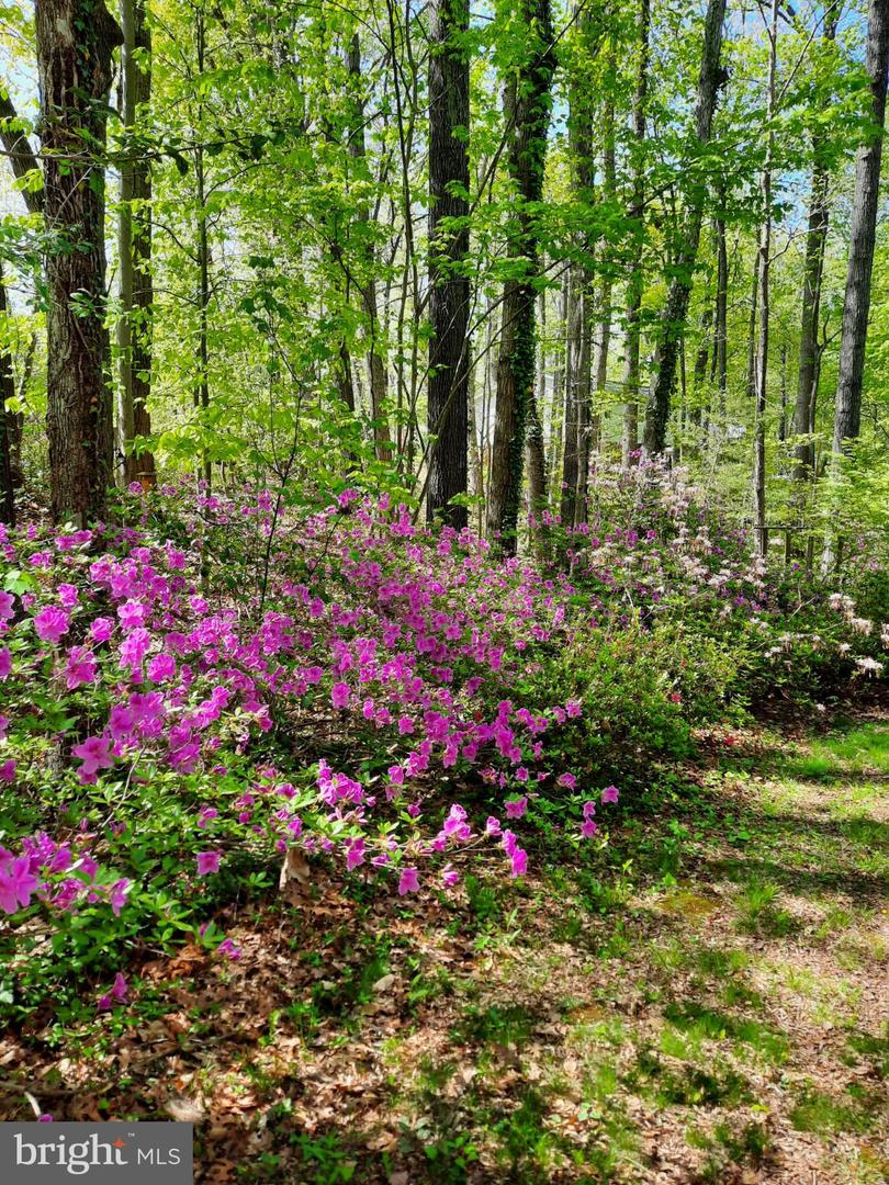 13437 BRISTOW RD, NOKESVILLE, Virginia 20181, 4 Bedrooms Bedrooms, 7 Rooms Rooms,3 BathroomsBathrooms,Residential,For sale,13437 BRISTOW RD,VAPW2106370 MLS # VAPW2106370