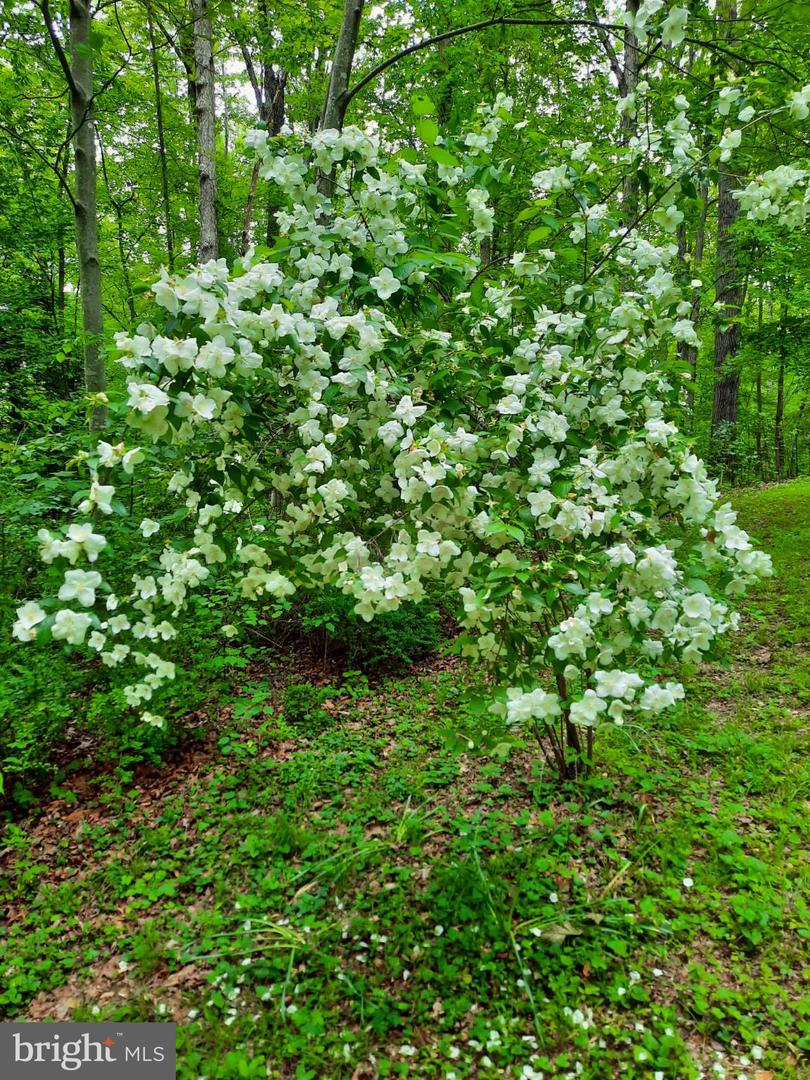 13437 BRISTOW RD, NOKESVILLE, Virginia 20181, 4 Bedrooms Bedrooms, 7 Rooms Rooms,3 BathroomsBathrooms,Residential,For sale,13437 BRISTOW RD,VAPW2106370 MLS # VAPW2106370