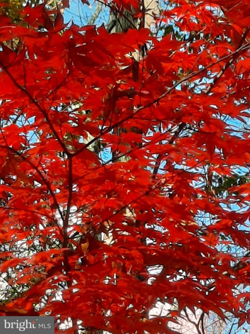 13437 BRISTOW RD, NOKESVILLE, Virginia 20181, 4 Bedrooms Bedrooms, 7 Rooms Rooms,3 BathroomsBathrooms,Residential,For sale,13437 BRISTOW RD,VAPW2106370 MLS # VAPW2106370