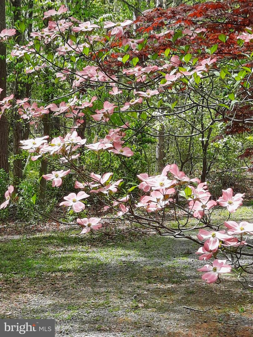 13437 BRISTOW RD, NOKESVILLE, Virginia 20181, 4 Bedrooms Bedrooms, 7 Rooms Rooms,3 BathroomsBathrooms,Residential,For sale,13437 BRISTOW RD,VAPW2106370 MLS # VAPW2106370