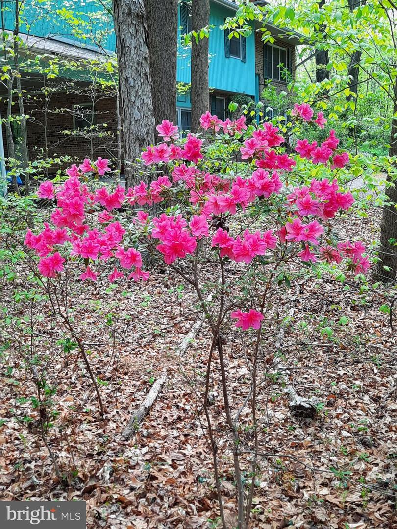 13437 BRISTOW RD, NOKESVILLE, Virginia 20181, 4 Bedrooms Bedrooms, 7 Rooms Rooms,3 BathroomsBathrooms,Residential,For sale,13437 BRISTOW RD,VAPW2106370 MLS # VAPW2106370