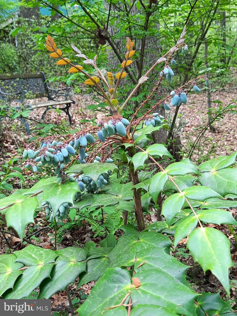 13437 BRISTOW RD, NOKESVILLE, Virginia 20181, 4 Bedrooms Bedrooms, 7 Rooms Rooms,3 BathroomsBathrooms,Residential,For sale,13437 BRISTOW RD,VAPW2106370 MLS # VAPW2106370