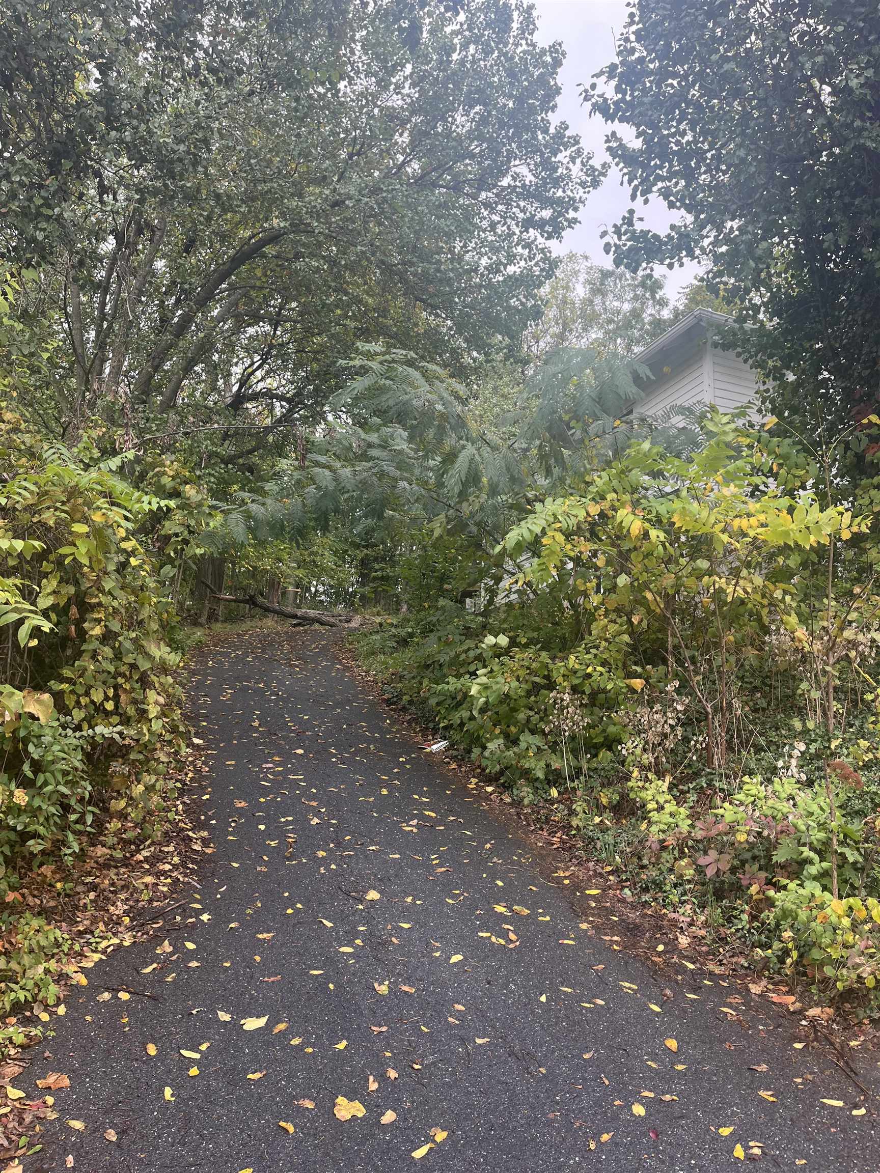 1221 DONAGHE ST, STAUNTON, Virginia 24401, 2 Bedrooms Bedrooms, ,1 BathroomBathrooms,Residential,1221 DONAGHE ST,670026 MLS # 670026