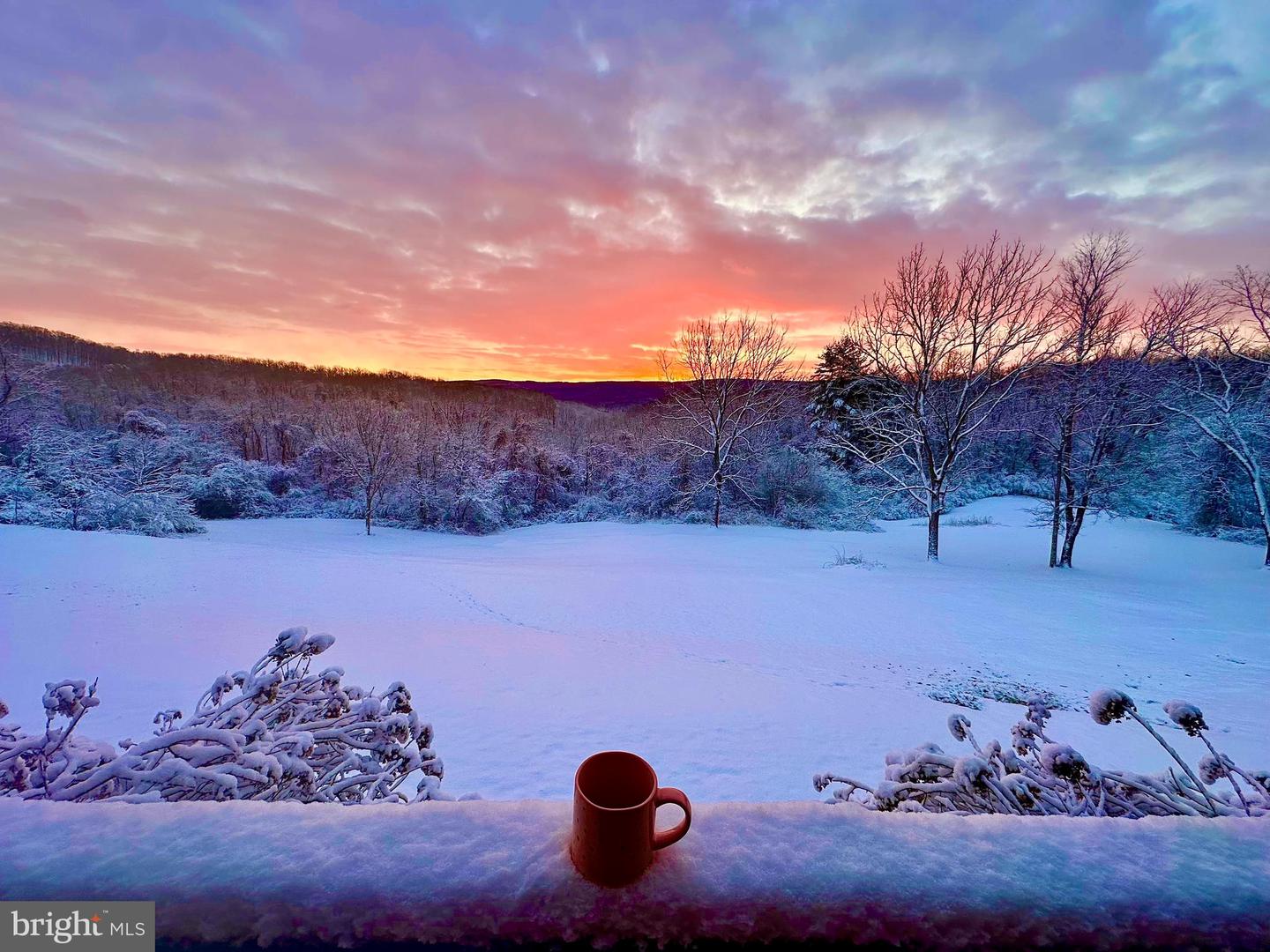 1230 CHILLY HOLLOW RD, BERRYVILLE, Virginia 22611, 3 Bedrooms Bedrooms, ,3 BathroomsBathrooms,Residential,For sale,1230 CHILLY HOLLOW RD,VACL2006494 MLS # VACL2006494