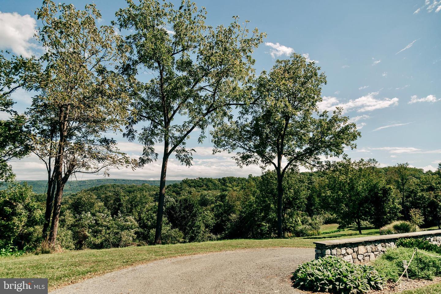 1230 CHILLY HOLLOW RD, BERRYVILLE, Virginia 22611, 3 Bedrooms Bedrooms, ,3 BathroomsBathrooms,Residential,For sale,1230 CHILLY HOLLOW RD,VACL2006494 MLS # VACL2006494