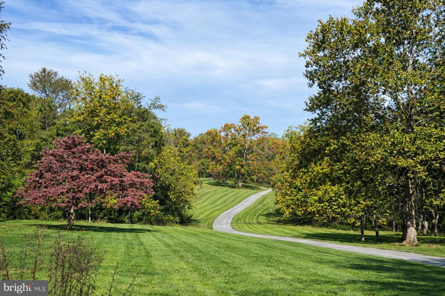 1230 CHILLY HOLLOW RD, BERRYVILLE, Virginia 22611, 3 Bedrooms Bedrooms, ,3 BathroomsBathrooms,Residential,For sale,1230 CHILLY HOLLOW RD,VACL2006494 MLS # VACL2006494