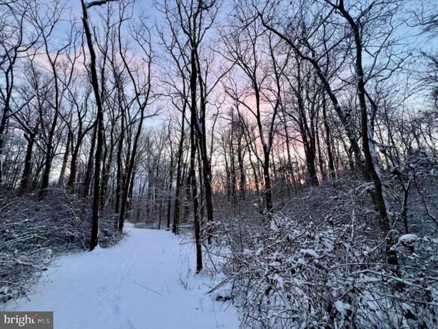 1230 CHILLY HOLLOW RD, BERRYVILLE, Virginia 22611, 3 Bedrooms Bedrooms, ,3 BathroomsBathrooms,Residential,For sale,1230 CHILLY HOLLOW RD,VACL2006494 MLS # VACL2006494