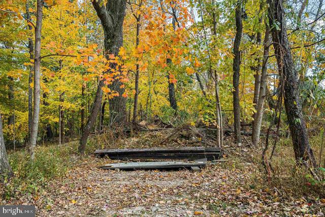 8499 COPPERHEAD RD, SINGERS GLEN, Virginia 22850, 4 Bedrooms Bedrooms, ,3 BathroomsBathrooms,Residential,For sale,8499 COPPERHEAD RD,VARO2002856 MLS # VARO2002856