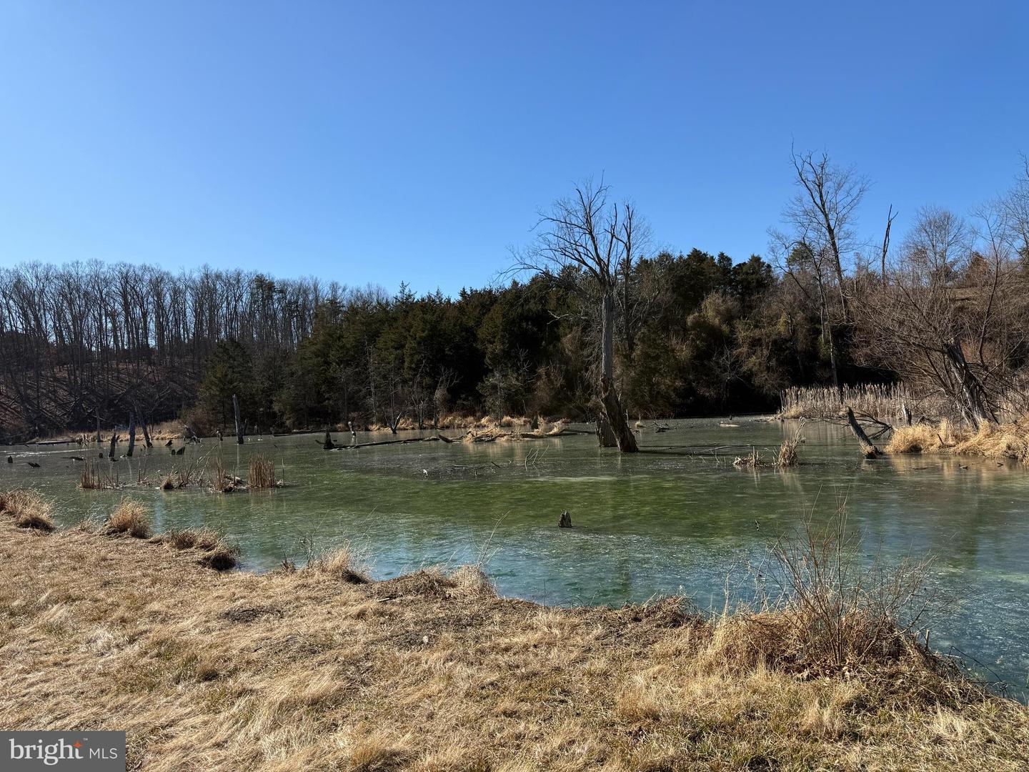 690 COMFORTER LN, MIDDLETOWN, Virginia 22645, 4 Bedrooms Bedrooms, ,3 BathroomsBathrooms,Farm,For sale,690 COMFORTER LN,VAWR2013488 MLS # VAWR2013488