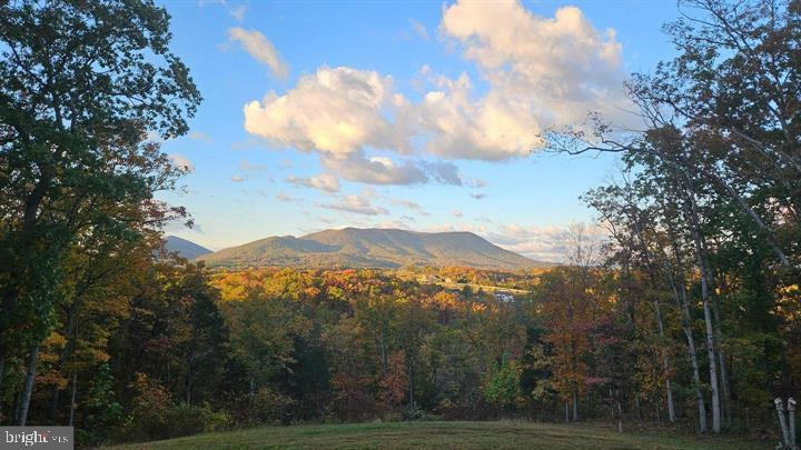 690 COMFORTER LN, MIDDLETOWN, Virginia 22645, 4 Bedrooms Bedrooms, ,3 BathroomsBathrooms,Farm,For sale,690 COMFORTER LN,VAWR2013488 MLS # VAWR2013488