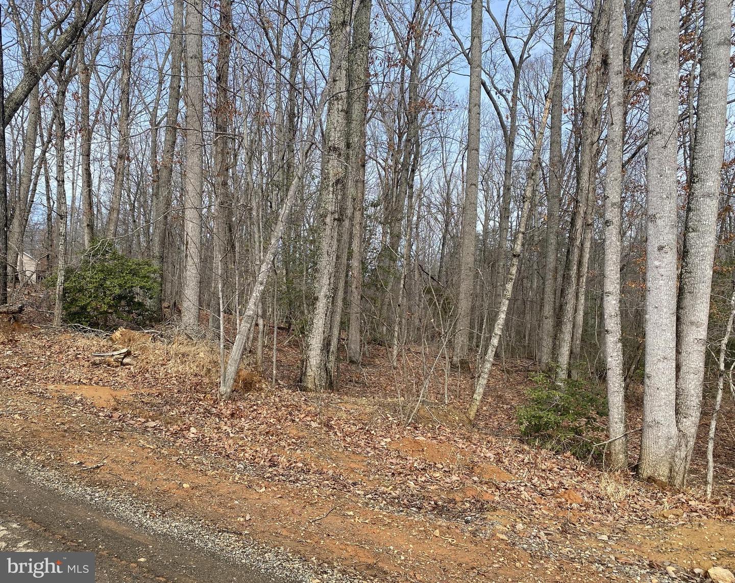 CHOPPING RD, MINERAL, Virginia 23117, ,Land,For sale,CHOPPING RD,VALA2009304 MLS # VALA2009304