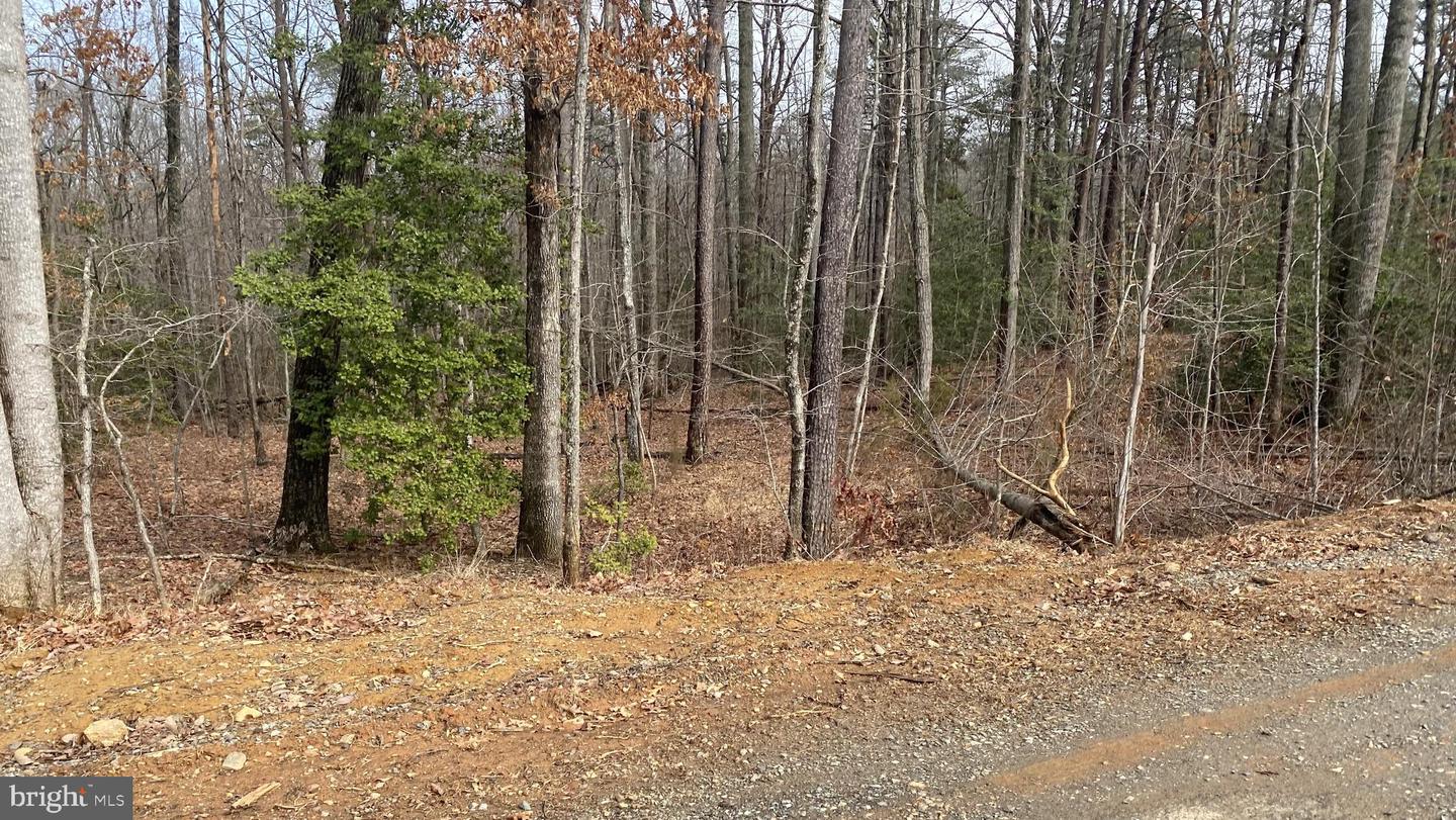CHOPPING RD, MINERAL, Virginia 23117, ,Land,For sale,CHOPPING RD,VALA2009304 MLS # VALA2009304