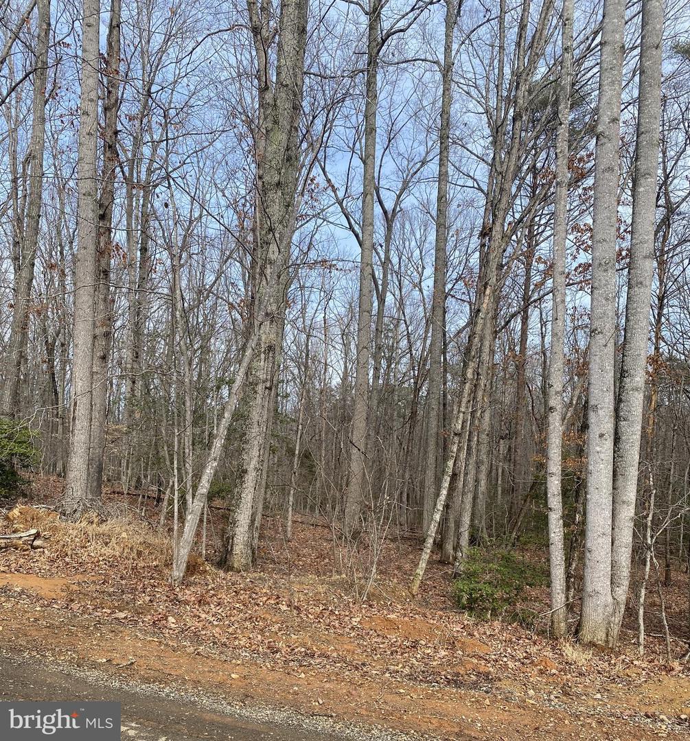 CHOPPING RD, MINERAL, Virginia 23117, ,Land,For sale,CHOPPING RD,VALA2009304 MLS # VALA2009304