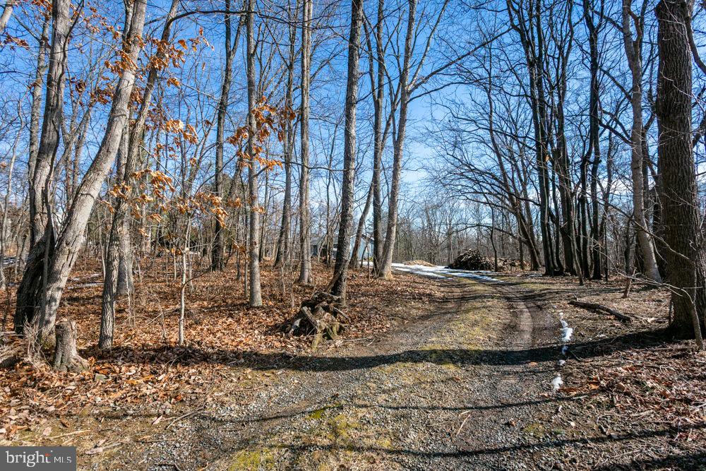 2767 SUNRISE DR, BROADWAY, Virginia 22815, ,Land,For sale,2767 SUNRISE DR,VARO2002858 MLS # VARO2002858