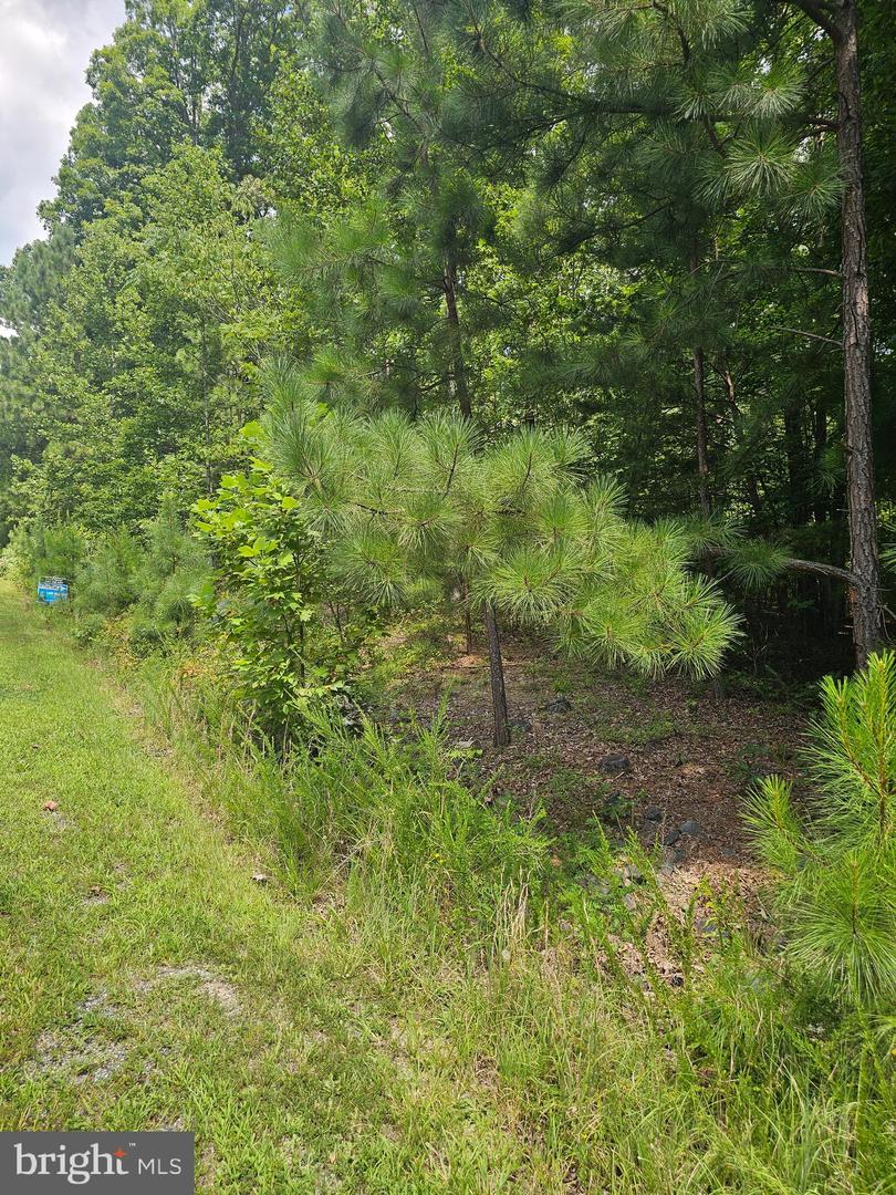 TRAVELLER, LOT 171 ST, MINERAL, Virginia 23117, ,Land,For sale,TRAVELLER, LOT 171 ST,VALA2009326 MLS # VALA2009326