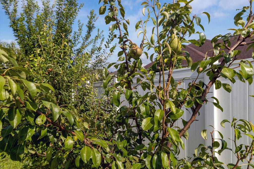 1311 LITTLE SORREL DR, HARRISONBURG, Virginia 22801, 5 Bedrooms Bedrooms, ,3 BathroomsBathrooms,Residential,1311 LITTLE SORREL DR,673561 MLS # 673561