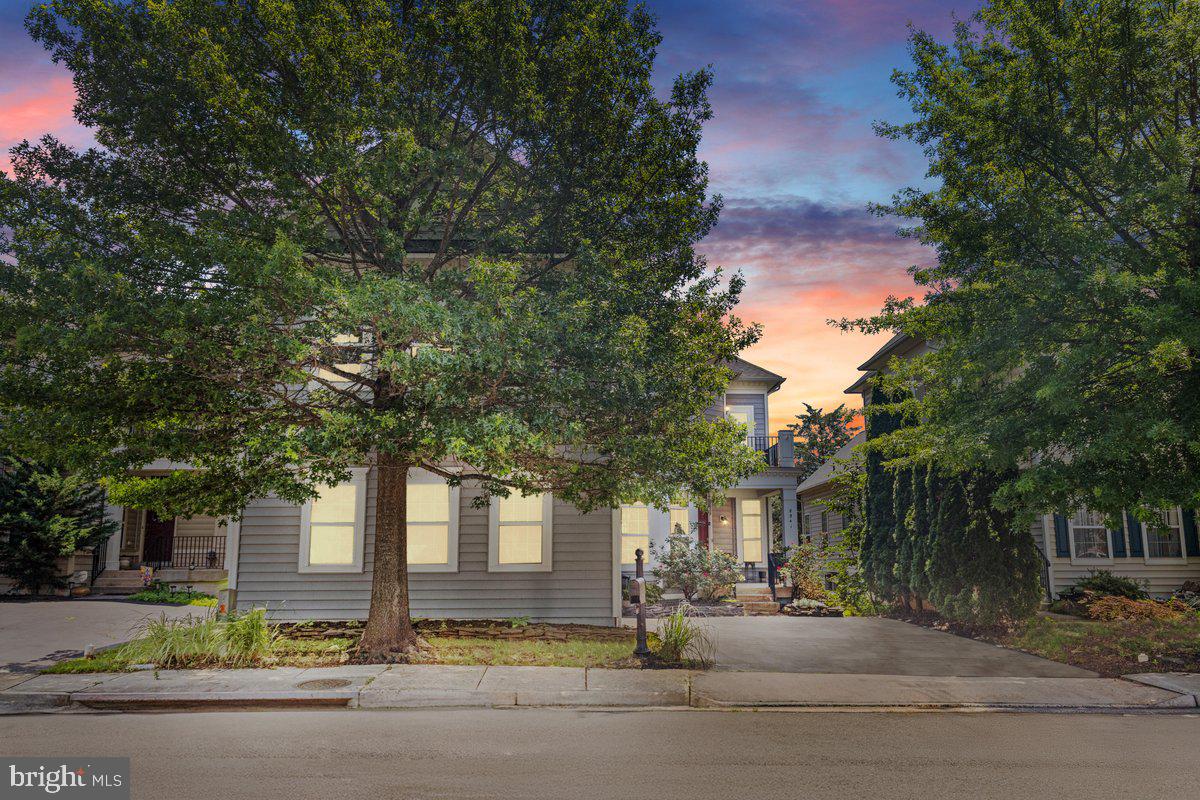 8341 TILLETT LOOP, MANASSAS, Virginia 20110, 4 Bedrooms Bedrooms, ,2 BathroomsBathrooms,Residential,For sale,8341 TILLETT LOOP,VAMN2008434 MLS # VAMN2008434