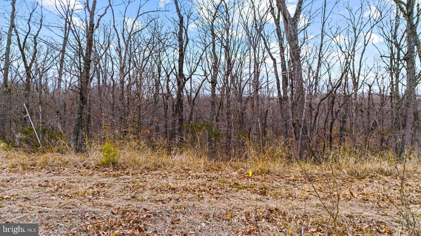 0 RICHMOND HIGHWAY, FREDERICKSBURG, Virginia 22405, ,Land,For sale,0 RICHMOND HIGHWAY,VAST2046350 MLS # VAST2046350