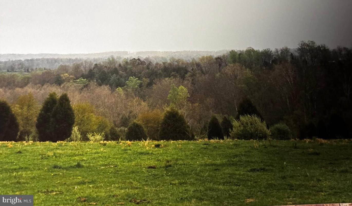 5.0054 ACRES SPERRYVILLE PIKE, BOSTON, Virginia 22713, ,Land,For sale,5.0054 ACRES SPERRYVILLE PIKE,VACU2012734 MLS # VACU2012734