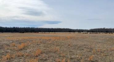 0 KELLYS FORD RD, ELKWOOD, Virginia 22718, ,Land,For sale,0 KELLYS FORD RD,VACU2012752 MLS # VACU2012752