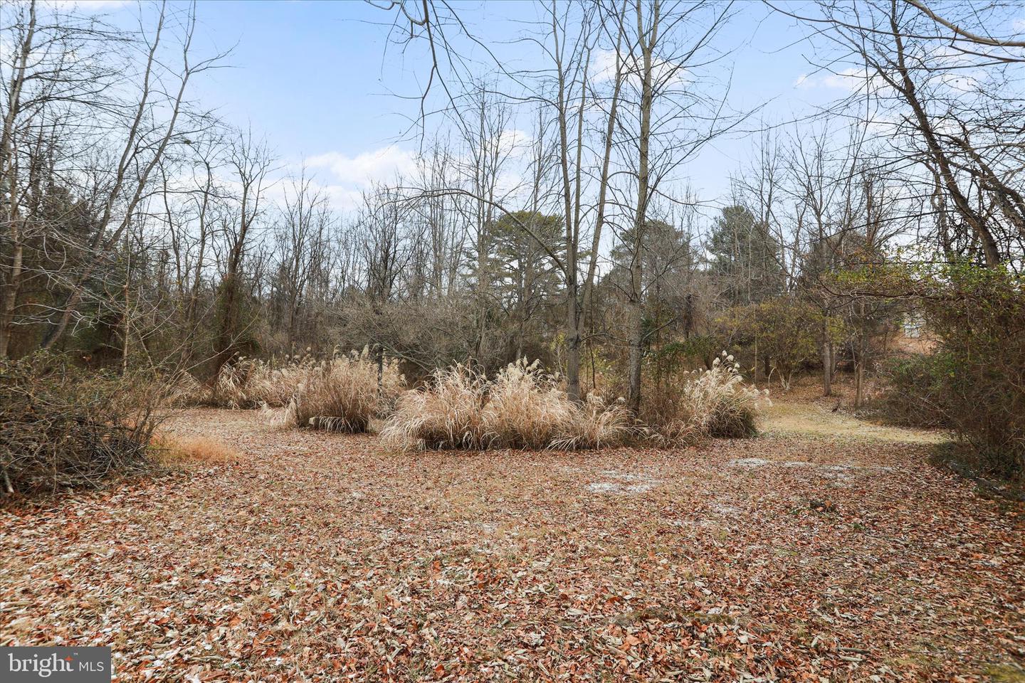 717 W LOCUST ST, WOODSTOCK, Virginia 22664, 5 Bedrooms Bedrooms, 14 Rooms Rooms,3 BathroomsBathrooms,Residential,For sale,717 W LOCUST ST,VASH2013080 MLS # VASH2013080