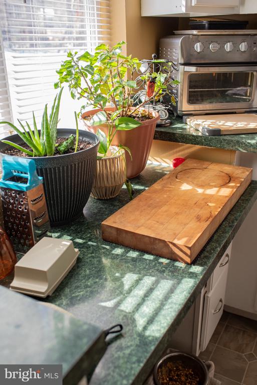 1659 S LAKESHORE DR, LOUISA, Virginia 23093, 3 Bedrooms Bedrooms, ,2 BathroomsBathrooms,Residential,1659 S LAKESHORE DR,VALA2009328 MLS # VALA2009328