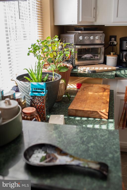 1659 S LAKESHORE DR, LOUISA, Virginia 23093, 3 Bedrooms Bedrooms, ,2 BathroomsBathrooms,Residential,1659 S LAKESHORE DR,VALA2009328 MLS # VALA2009328