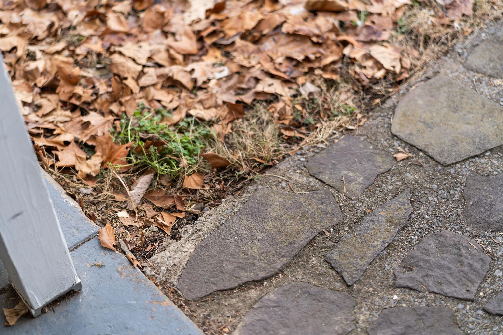 503 AUGUSTA AVE, GROTTOES, Virginia 24441, 3 Bedrooms Bedrooms, ,1 BathroomBathrooms,Residential,503 AUGUSTA AVE,673591 MLS # 673591