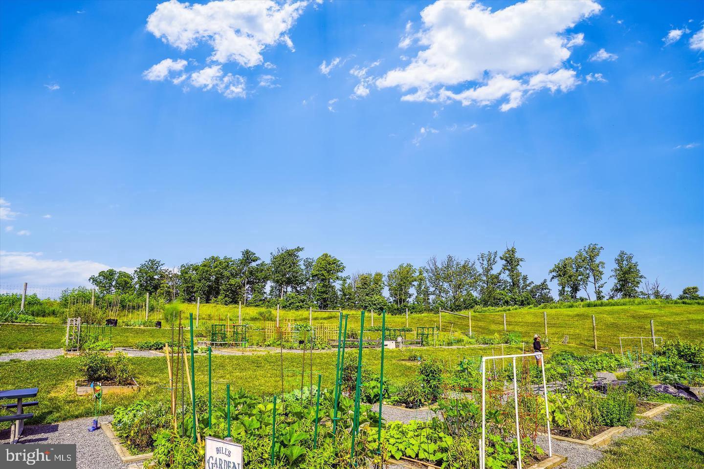 2105 HEMLOCK BAY RD, DUMFRIES, Virginia 22026, 3 Bedrooms Bedrooms, ,3 BathroomsBathrooms,Residential,For sale,2105 HEMLOCK BAY RD,VAPW2112304 MLS # VAPW2112304