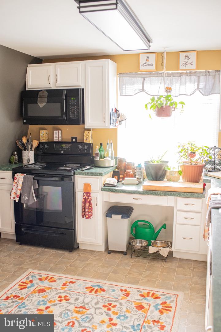 1659 S LAKESHORE DR, LOUISA, Virginia 23093, 3 Bedrooms Bedrooms, ,2 BathroomsBathrooms,Residential,For sale,1659 S LAKESHORE DR,VALA2009328 MLS # VALA2009328