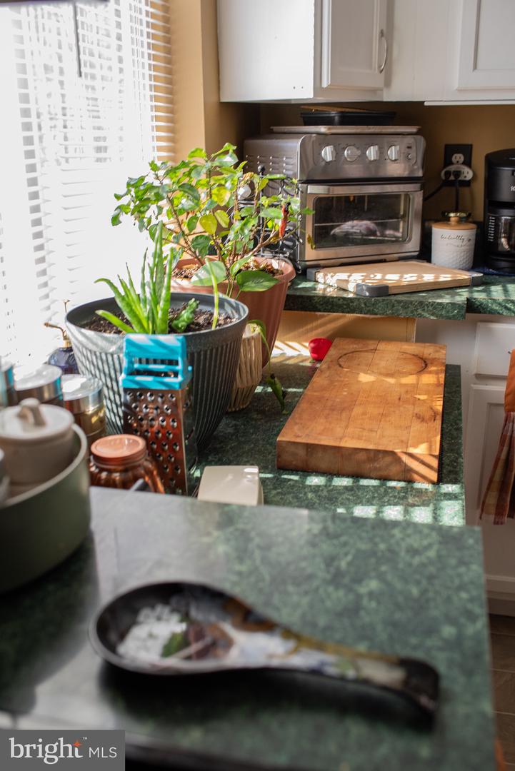 1659 S LAKESHORE DR, LOUISA, Virginia 23093, 3 Bedrooms Bedrooms, ,2 BathroomsBathrooms,Residential,For sale,1659 S LAKESHORE DR,VALA2009328 MLS # VALA2009328