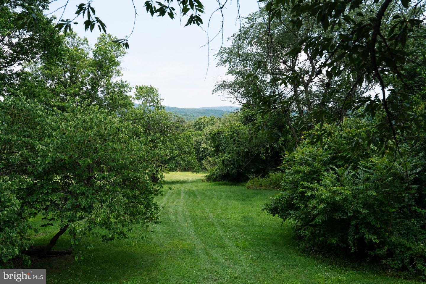 18 PROVIDENCE LN, WAYNESBORO, Virginia 22980, 3 Bedrooms Bedrooms, ,1 BathroomBathrooms,Residential,For sale,18 PROVIDENCE LN,VAAG2002748 MLS # VAAG2002748