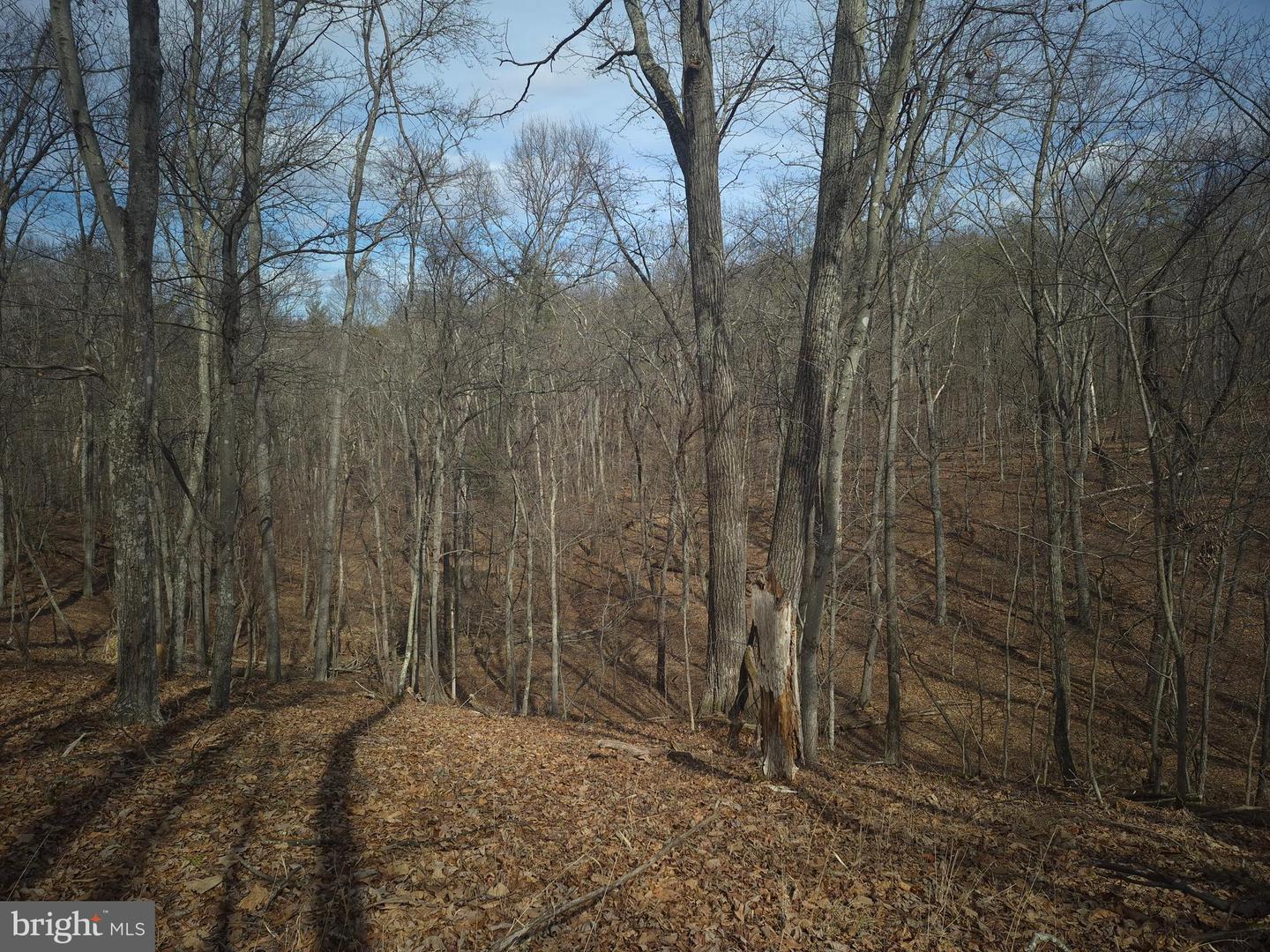 LOT 17 HODGES LN, WINCHESTER, Virginia 22603, ,Land,For sale,LOT 17 HODGES LN,VAFV2039236 MLS # VAFV2039236 LOT 17 HODGES LN, WINCHESTER, Virginia 22603, ,Land,For sale,LOT 17 HODGES LN,VAFV2039236 MLS # VAFV2039236