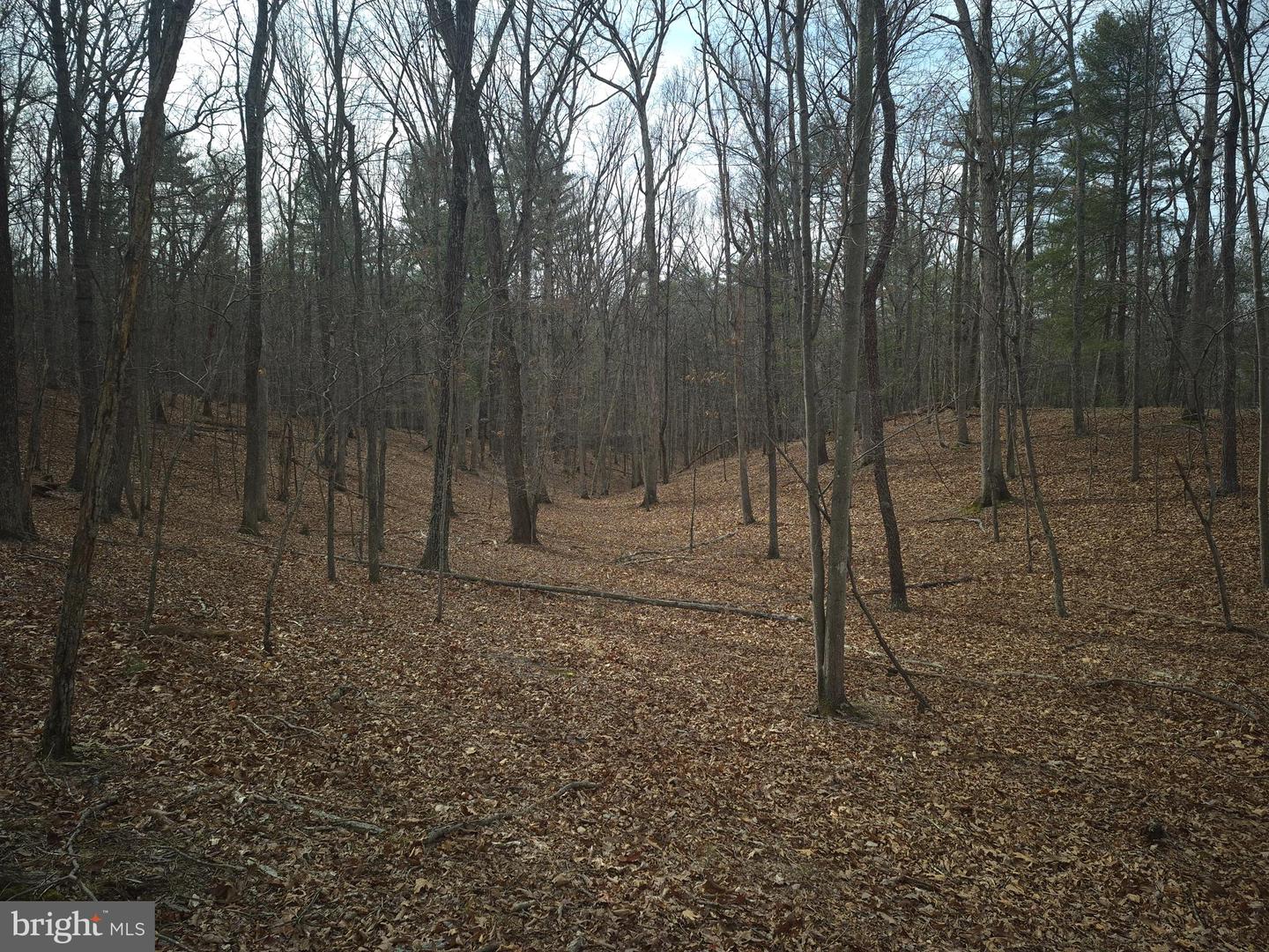 LOT 17 HODGES LN, WINCHESTER, Virginia 22603, ,Land,For sale,LOT 17 HODGES LN,VAFV2039236 MLS # VAFV2039236 LOT 17 HODGES LN, WINCHESTER, Virginia 22603, ,Land,For sale,LOT 17 HODGES LN,VAFV2039236 MLS # VAFV2039236