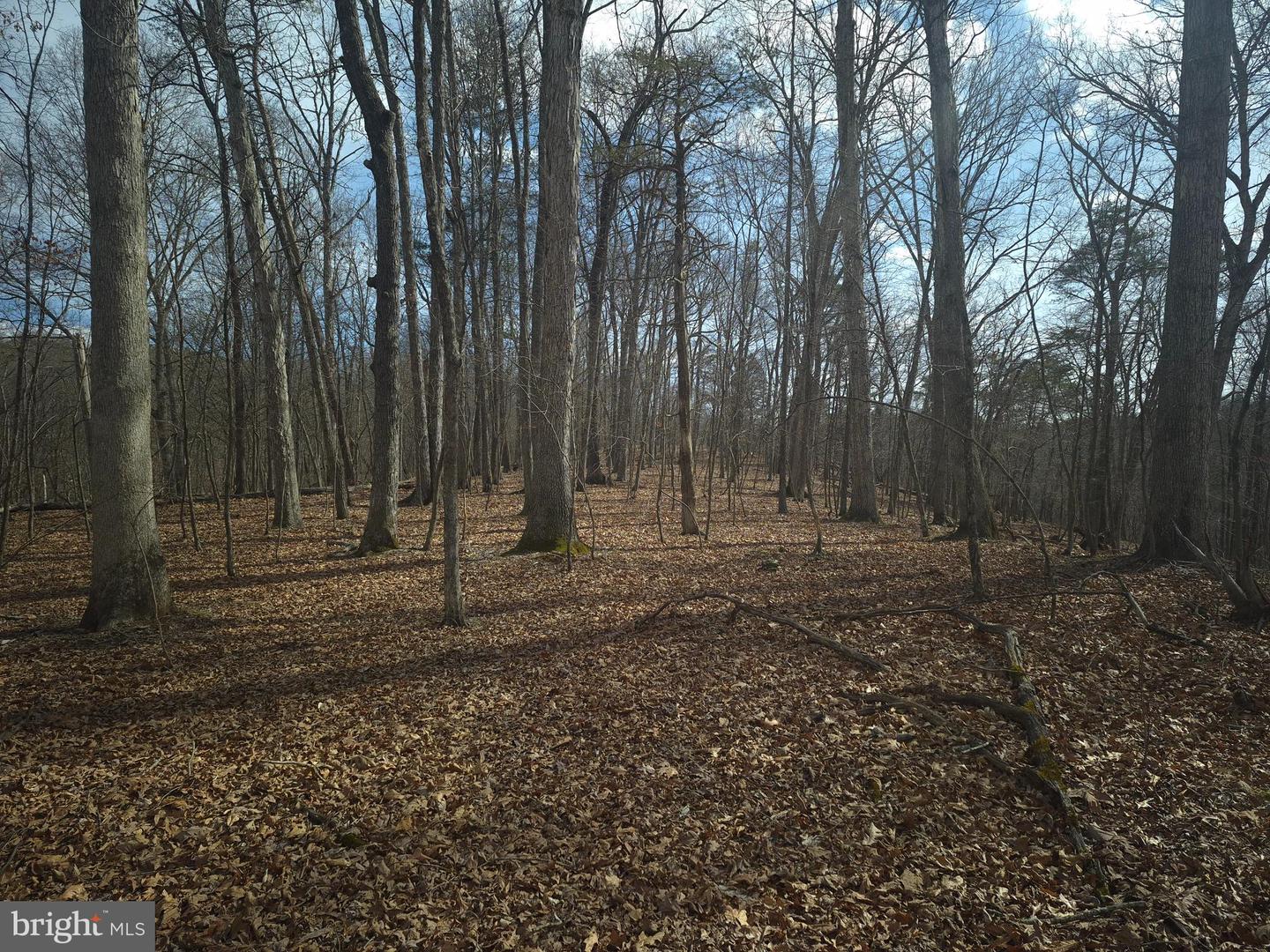 LOT 17 HODGES LN, WINCHESTER, Virginia 22603, ,Land,For sale,LOT 17 HODGES LN,VAFV2039236 MLS # VAFV2039236 LOT 17 HODGES LN, WINCHESTER, Virginia 22603, ,Land,For sale,LOT 17 HODGES LN,VAFV2039236 MLS # VAFV2039236