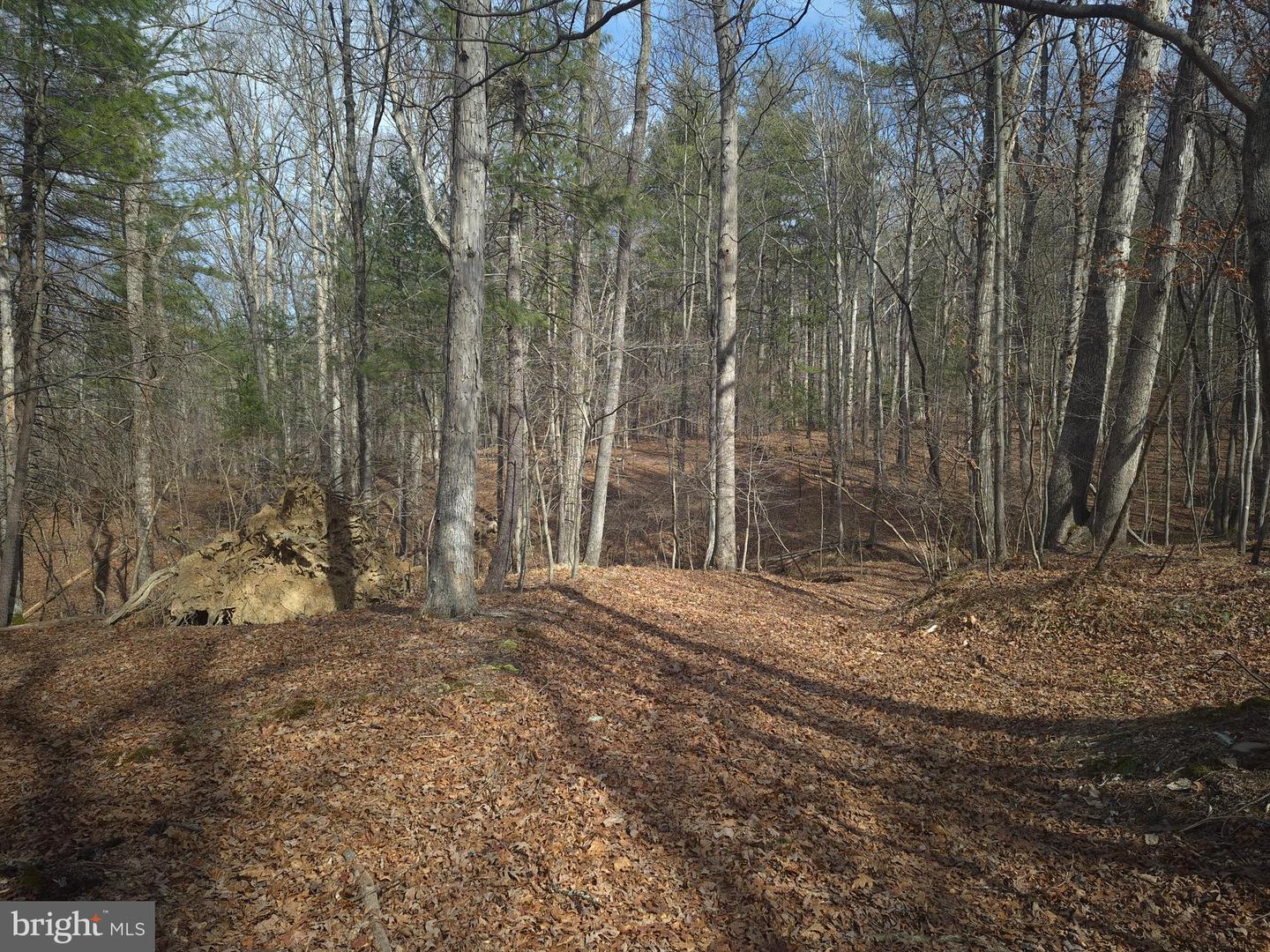 LOT 17 HODGES LN, WINCHESTER, Virginia 22603, ,Land,For sale,LOT 17 HODGES LN,VAFV2039236 MLS # VAFV2039236 LOT 17 HODGES LN, WINCHESTER, Virginia 22603, ,Land,For sale,LOT 17 HODGES LN,VAFV2039236 MLS # VAFV2039236