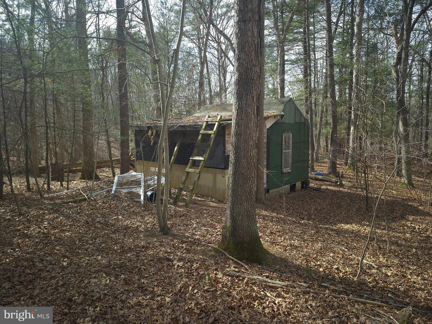 LOT 17 HODGES LN, WINCHESTER, Virginia 22603, ,Land,For sale,LOT 17 HODGES LN,VAFV2039236 MLS # VAFV2039236 LOT 17 HODGES LN, WINCHESTER, Virginia 22603, ,Land,For sale,LOT 17 HODGES LN,VAFV2039236 MLS # VAFV2039236