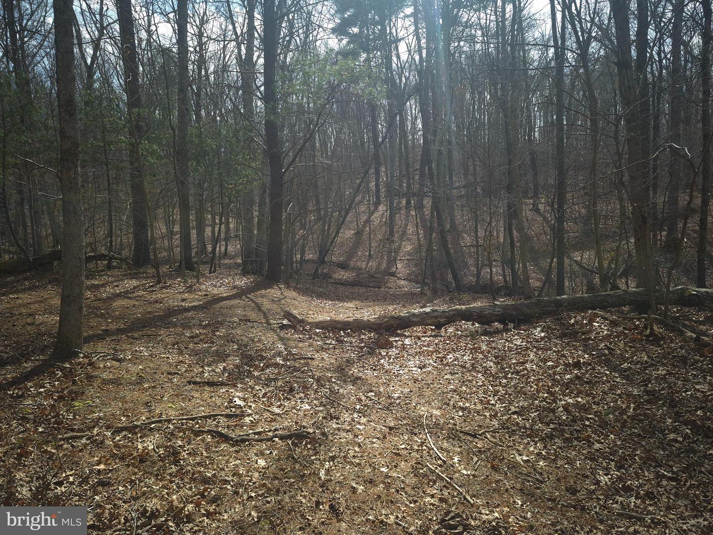 LOT 17 HODGES LN, WINCHESTER, Virginia 22603, ,Land,For sale,LOT 17 HODGES LN,VAFV2039236 MLS # VAFV2039236 LOT 17 HODGES LN, WINCHESTER, Virginia 22603, ,Land,For sale,LOT 17 HODGES LN,VAFV2039236 MLS # VAFV2039236