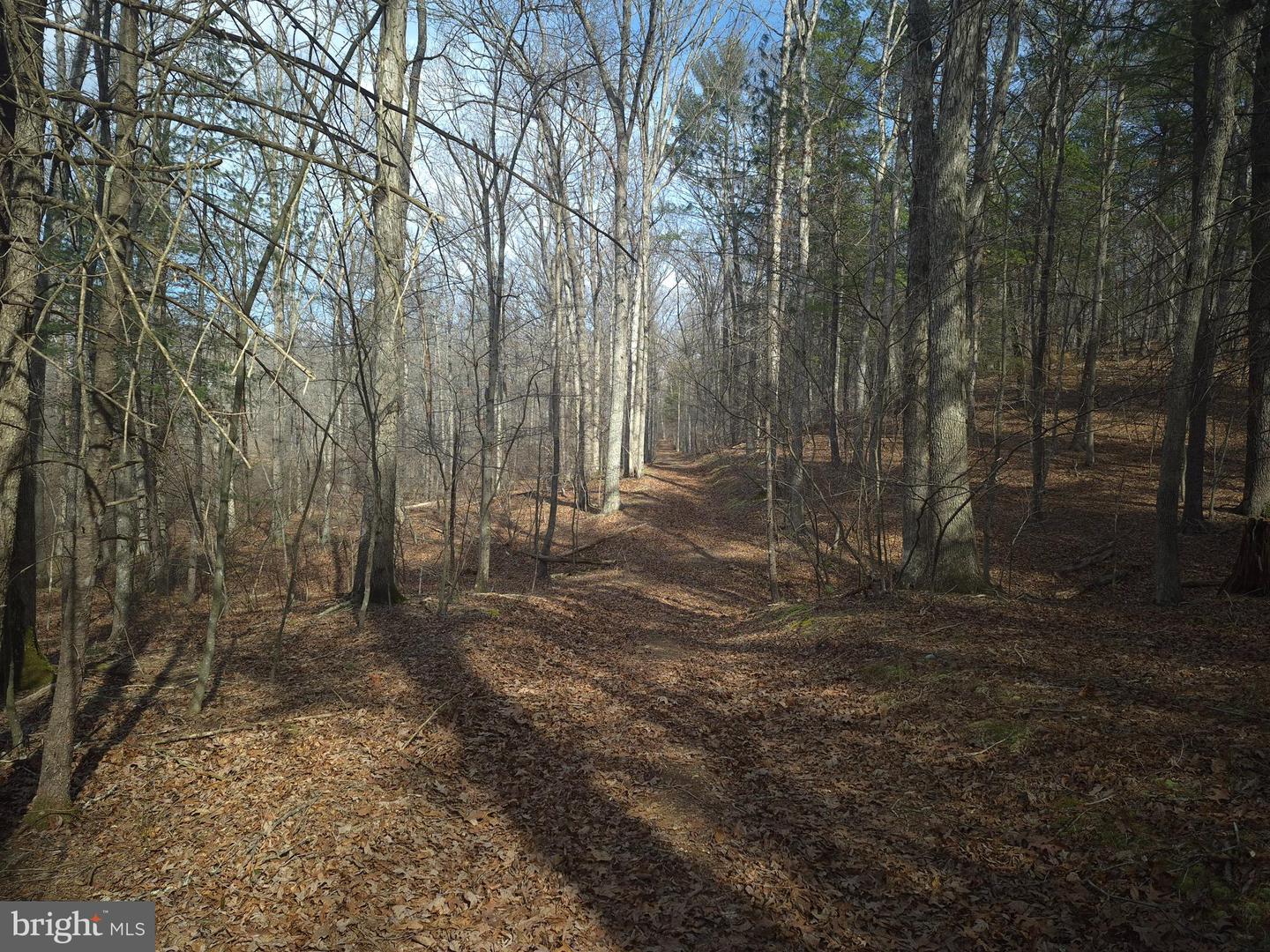 LOT 17 HODGES LN, WINCHESTER, Virginia 22603, ,Land,For sale,LOT 17 HODGES LN,VAFV2039236 MLS # VAFV2039236 LOT 17 HODGES LN, WINCHESTER, Virginia 22603, ,Land,For sale,LOT 17 HODGES LN,VAFV2039236 MLS # VAFV2039236