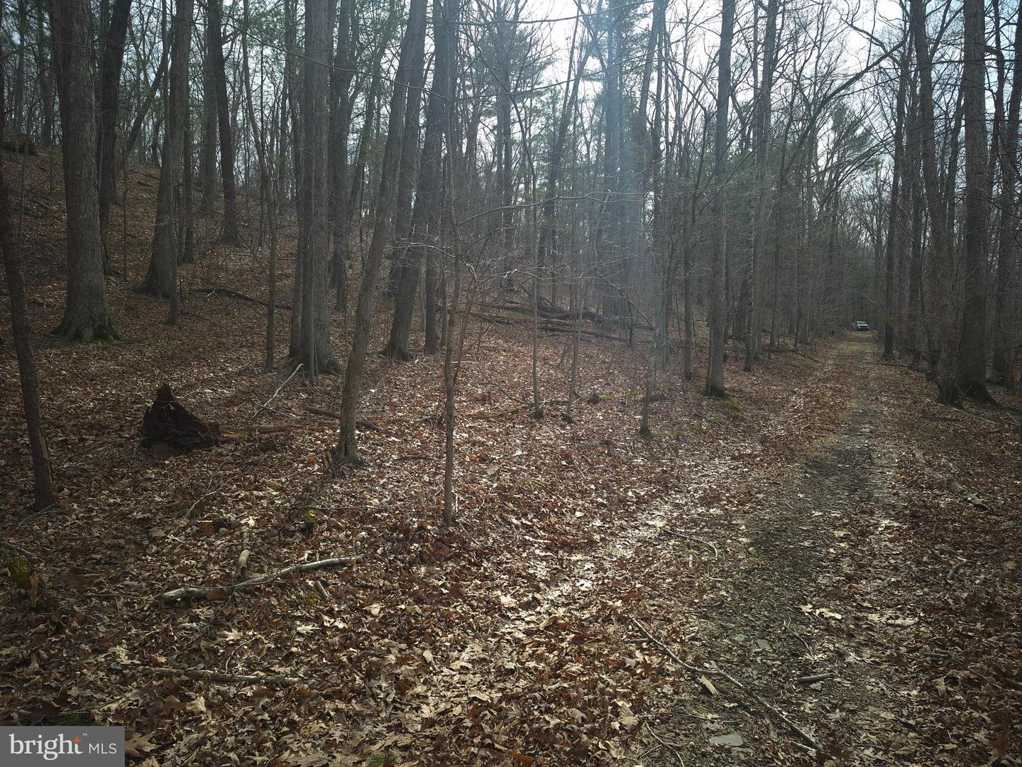 LOT 17 HODGES LN, WINCHESTER, Virginia 22603, ,Land,For sale,LOT 17 HODGES LN,VAFV2039236 MLS # VAFV2039236 LOT 17 HODGES LN, WINCHESTER, Virginia 22603, ,Land,For sale,LOT 17 HODGES LN,VAFV2039236 MLS # VAFV2039236