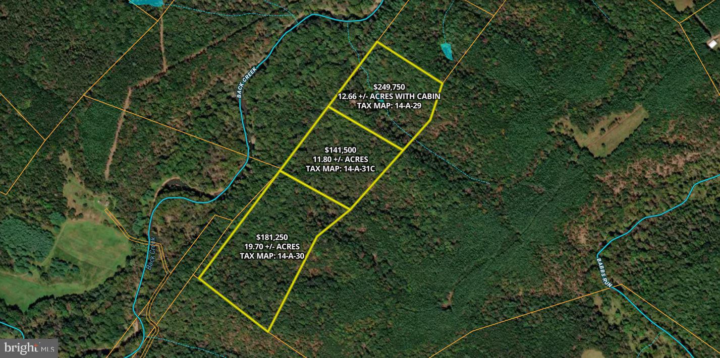 LOT 17 HODGES LN, WINCHESTER, Virginia 22603, ,Land,For sale,LOT 17 HODGES LN,VAFV2039236 MLS # VAFV2039236 LOT 17 HODGES LN, WINCHESTER, Virginia 22603, ,Land,For sale,LOT 17 HODGES LN,VAFV2039236 MLS # VAFV2039236