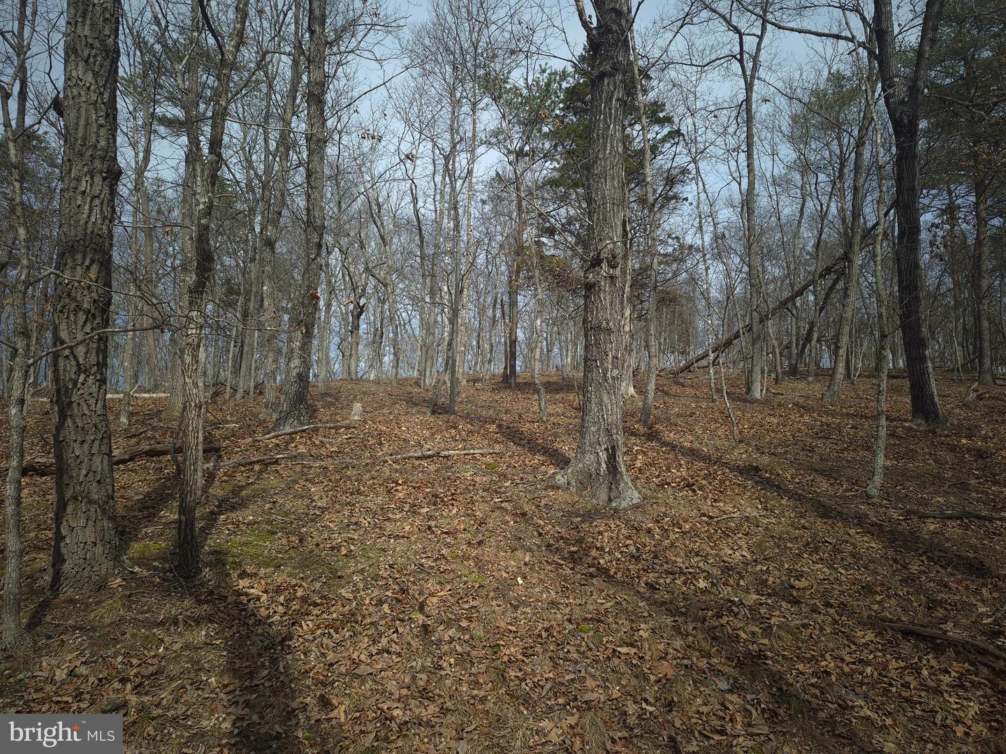 LOT 17 HODGES LN, WINCHESTER, Virginia 22603, ,Land,For sale,LOT 17 HODGES LN,VAFV2039236 MLS # VAFV2039236 LOT 17 HODGES LN, WINCHESTER, Virginia 22603, ,Land,For sale,LOT 17 HODGES LN,VAFV2039236 MLS # VAFV2039236