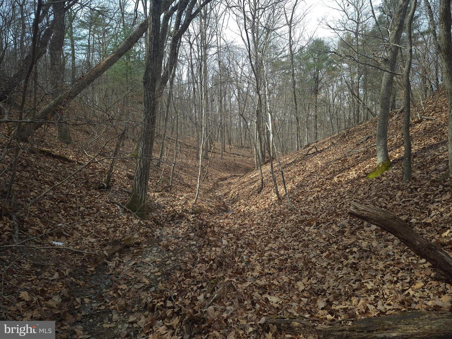 LOT 17 HODGES LN, WINCHESTER, Virginia 22603, ,Land,For sale,LOT 17 HODGES LN,VAFV2039236 MLS # VAFV2039236 LOT 17 HODGES LN, WINCHESTER, Virginia 22603, ,Land,For sale,LOT 17 HODGES LN,VAFV2039236 MLS # VAFV2039236