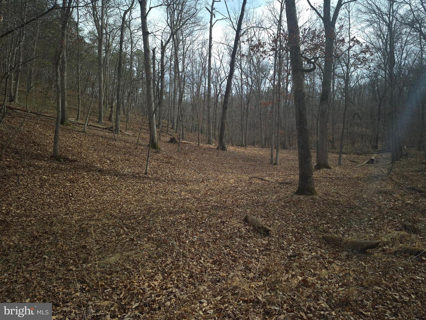 LOT 16 HODGES LN, WINCHESTER, Virginia 22603, ,Land,For sale,LOT 16 HODGES LN,VAFV2039238 MLS # VAFV2039238 LOT 16 HODGES LN, WINCHESTER, Virginia 22603, ,Land,For sale,LOT 16 HODGES LN,VAFV2039238 MLS # VAFV2039238